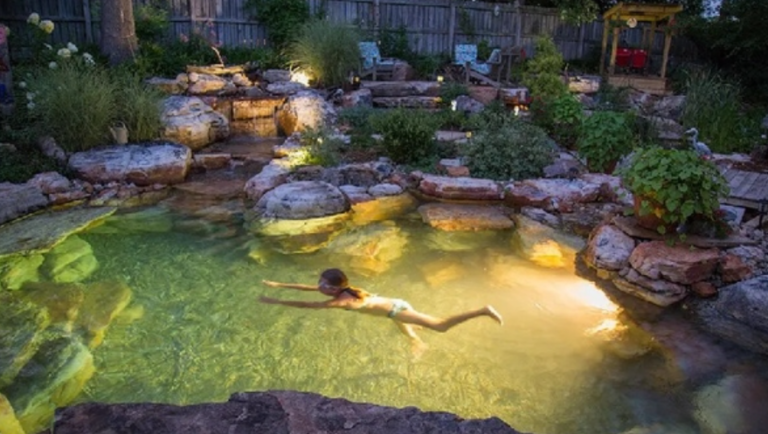 Building Your Ideal Aquatic Haven: The Ultimate Swimming Pond Shop Guide